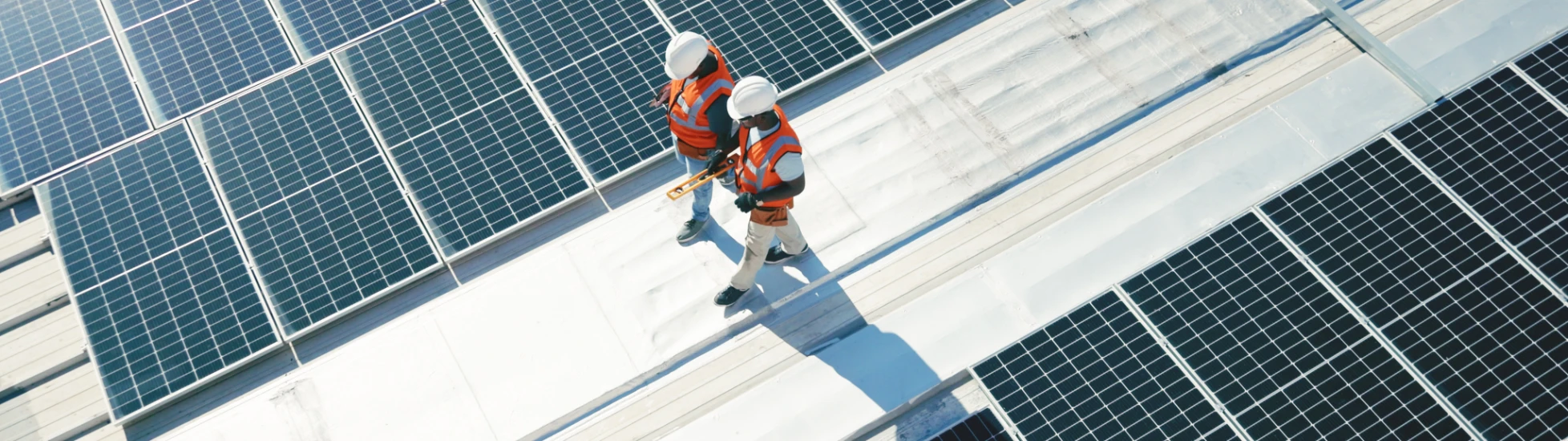 Two solar panel workers walking alongside panels