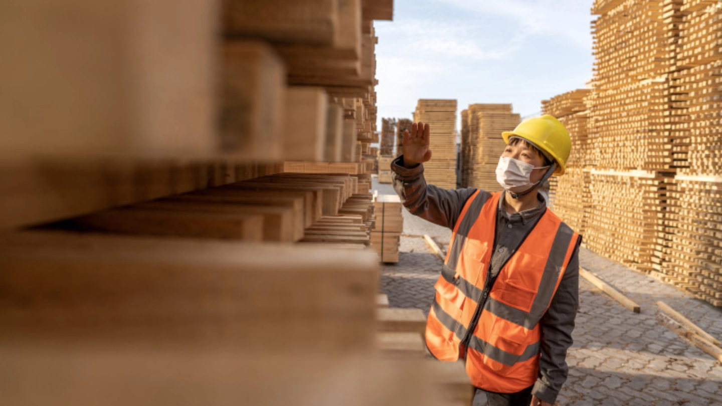 Industrial worker checking lumber image